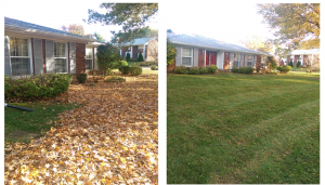 Spring and Fall Leaf Cleanups