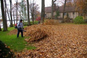 Spring & Fall Leaf Cleanup - Cape Cod - Foley Landscape Services