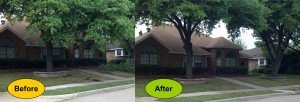 Foley Landscape Services Landscaping Tree Trimming 